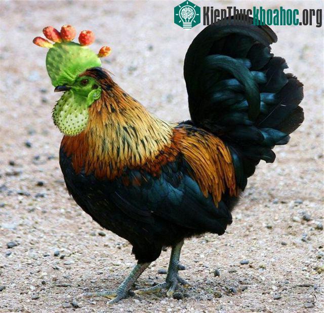 Những hình ảnh ngộ nghĩnh từ động vật và thực vật- ảnh 27