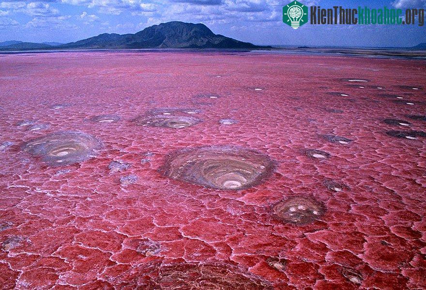 Hồ Natron, Tanzania