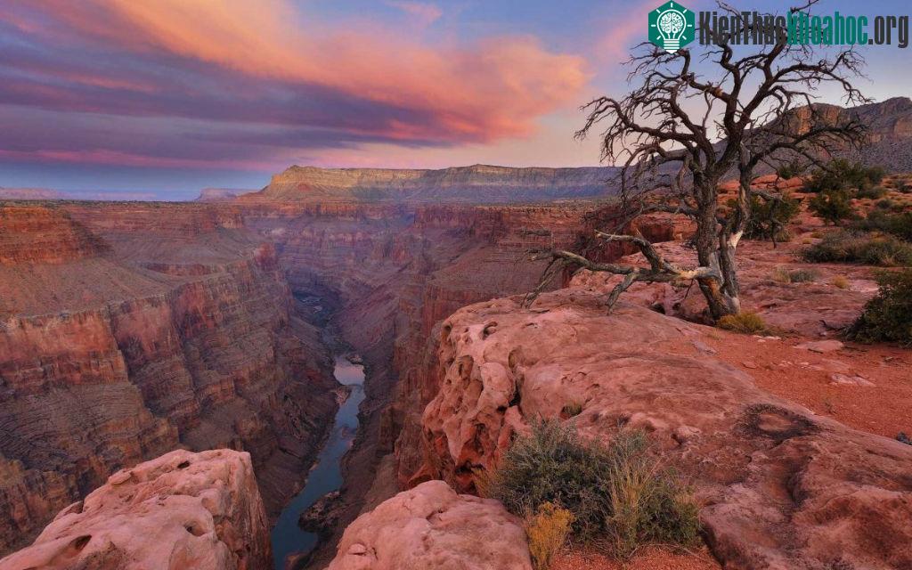 Chèo thuyền qua vùng biển tuyệt đẹp Grand Canyon của Arizona, Mỹ.