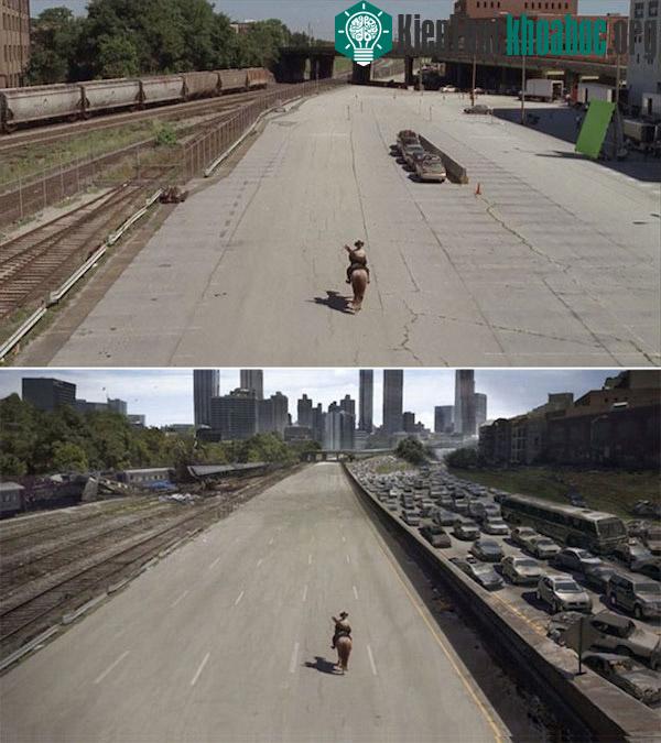 The Matrix