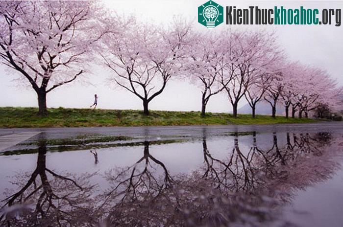 Chắc chắn bạn sẽ kinh ngạc khi xem những bức ảnh phản chiếu tuyệt đẹp này ảnh 30