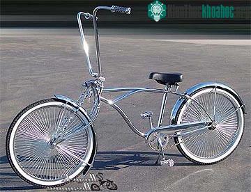 Dành cho những tay lái đam mê xe độ chopper.