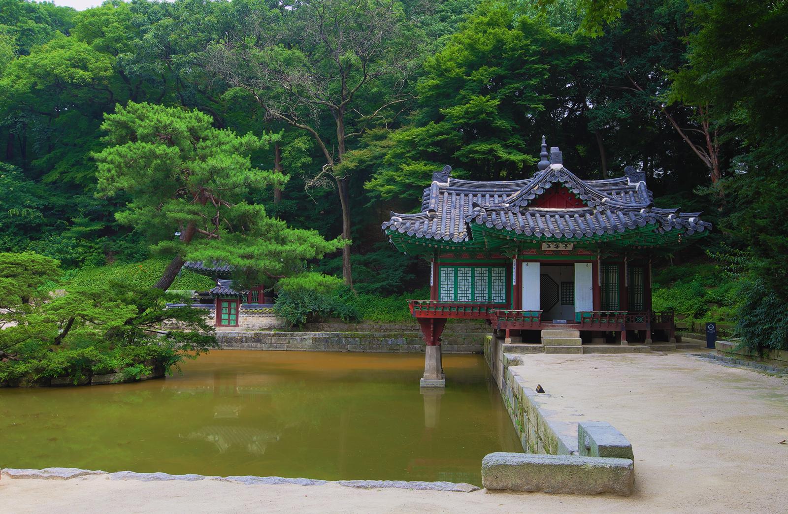 Khám phá khu vườn Biwon, thuộc cung Changdeokgung ở Hàn Quốc