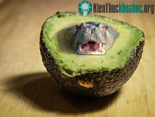 Bộ ảnh "siêu tưởng" của Dan King