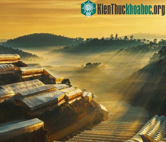 Ảnh chụp dưới chân núi Hòn Bồ - Trại Mát. Hệ thống nhà vòm trồng hoa đang ẩn hiện dưới áng sáng huyền ảo tinh sương. Hình ảnh cho người xem một cảm giác thú vị về vẻ đẹp nơi này.