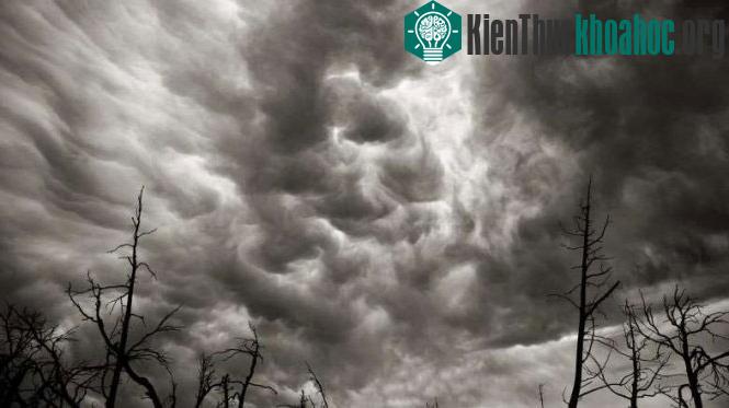Mây cuộn sóng (Undulatus asperatus) - (Ảnh: Alarmy)