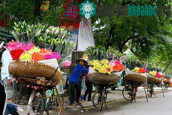Hay mỗi sớm mai thức giấc mở của ra phố đã bắt gặp những gánh hàng hoa mùa nào thức nấy