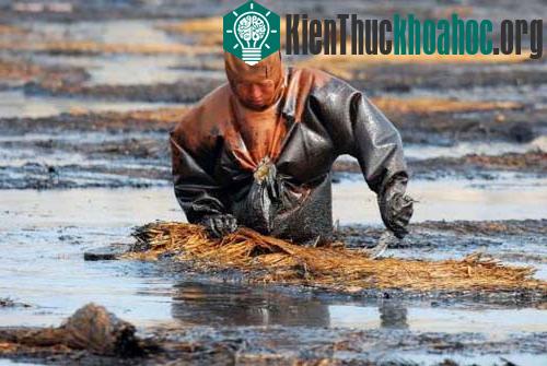 Một công nhân đang xử lý dầu ở khu vực tràn dầu gần cảng Đại Liên, thuộc tỉnh Liêu Ninh, tháng 7/2010.