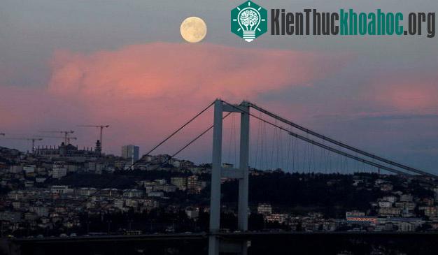Ở Istanbul, Thổ Nhĩ Kỳ - (Ảnh: Reuters)