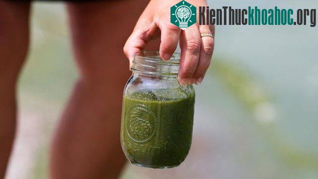 Tuy nhiên, dòng chảy của các đại dương khiến số lượng tảo dạt vào bờ tiếp tục gia tăng trong những ngày tới.