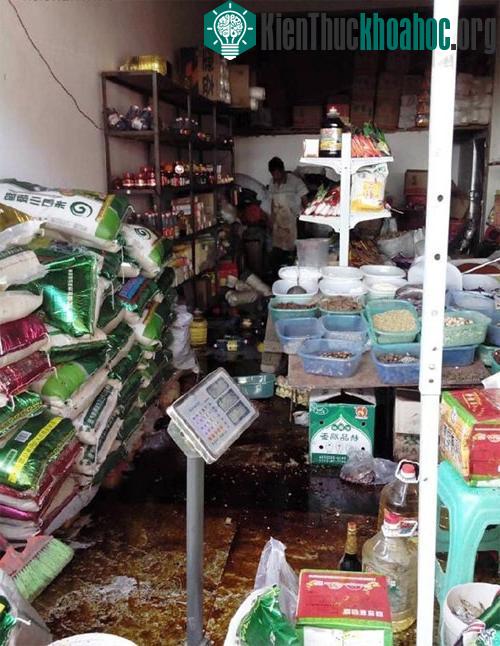 Bức ảnh chụp bằng điện thoại di động ghi lại cảnh ngổn ngang tại một cửa hàng sau cơn động đất. Người dân ở đây cho biết điện đã mất, hệ thống liên lạc cũng gián đoạn.