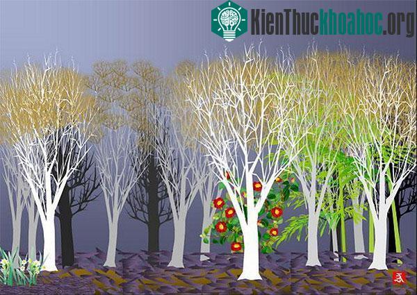 Horiuchi giải thích sở dĩ ông chọn Excel là vì nó đã được cài đặt sẵn trong máy tính