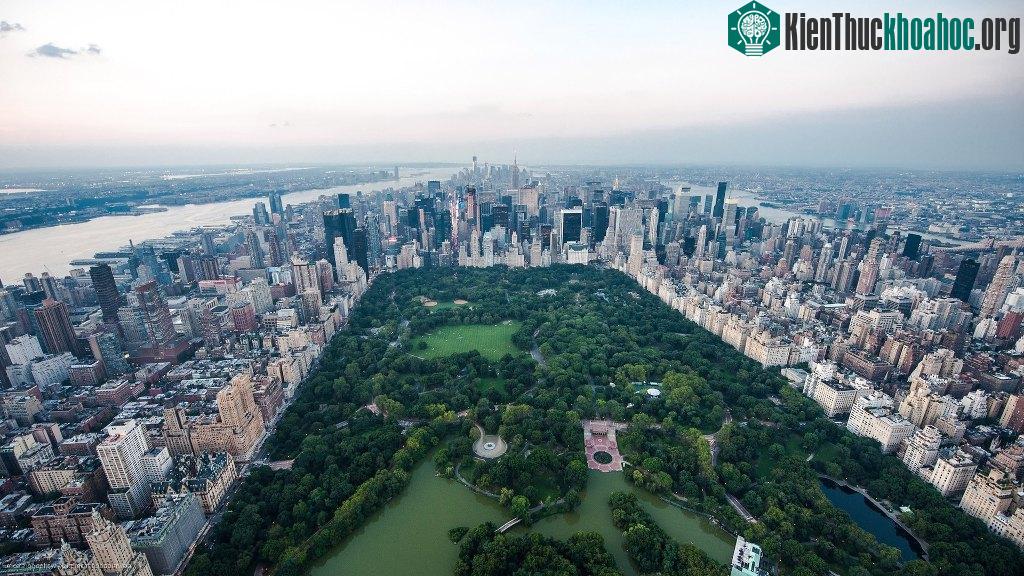 New York, Mỹ