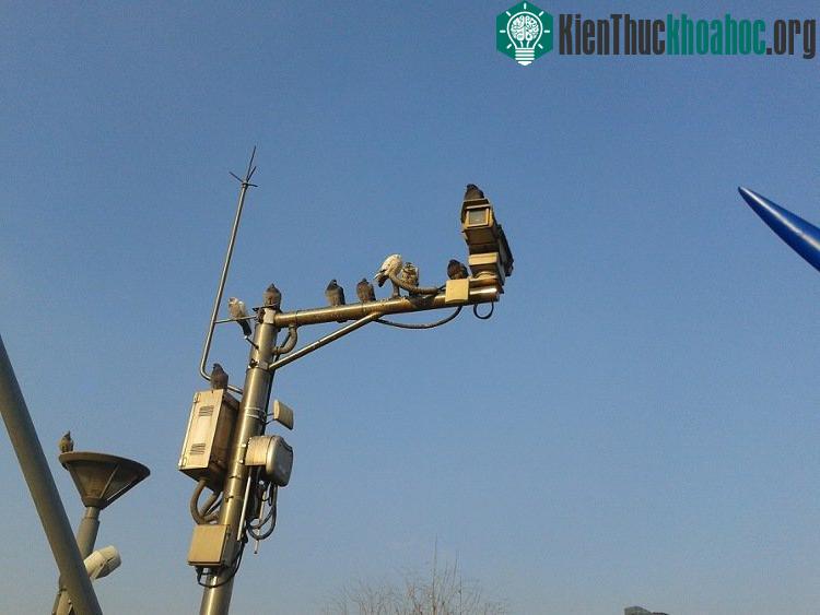 Camera giám sát được lắp đặt khắp nơi.