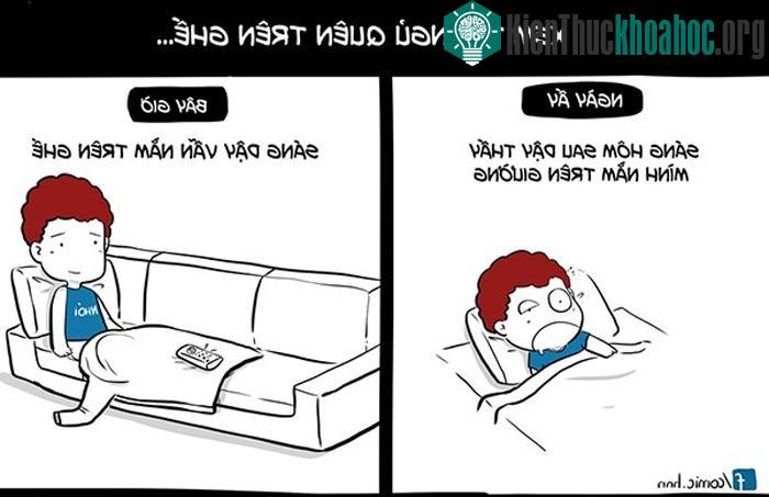 Lúc nhỏ có ngủ quên ở đâu thì sáng hôm sau cũng vẫn ở trên giường. Lớn rồi thì nằm đâu vẫn ở đó. Có khác chăng là lăn từ ghế xuống đất mà thôi.