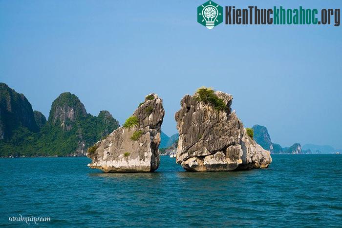 Hòn Trống Mái hay còn gọi là hòn Gà Chọi, nằm ở phía tây nam vịnh Hạ Long, cách Bãi Cháy 5 km.