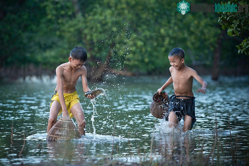 Mùa lũ về, lũ trẻ con lại lao ra đồng bắt cá, úp nơm để cải thiện bữa ăn hàng ngày