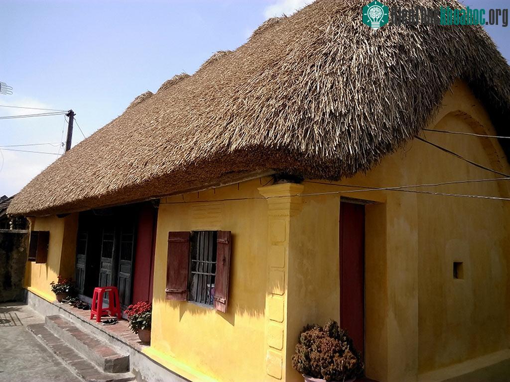 Để làm nhà mái rạ tốn kém hơn làm trần bê tông. Một bộ mái rạ tốn ít nhất 10 triệu đồng tiền mua rạ chất lượng tốt từ ruộng, vật liệu tre, gỗ, tiền công thợ và khoảng 5 năm phải thay một lần.