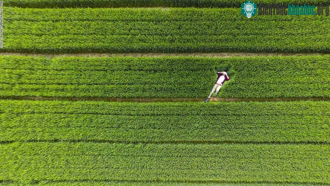Chàng trai thả mình thư giãn giữa thiên nhiên ở Sơn Đông, Trung Quốc