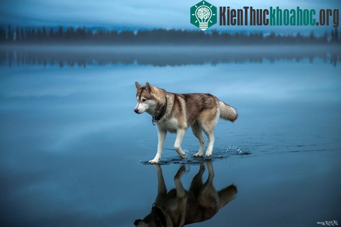100 bức ảnh "đẹp khó tin" chưa từng qua photoshop- ảnh 4