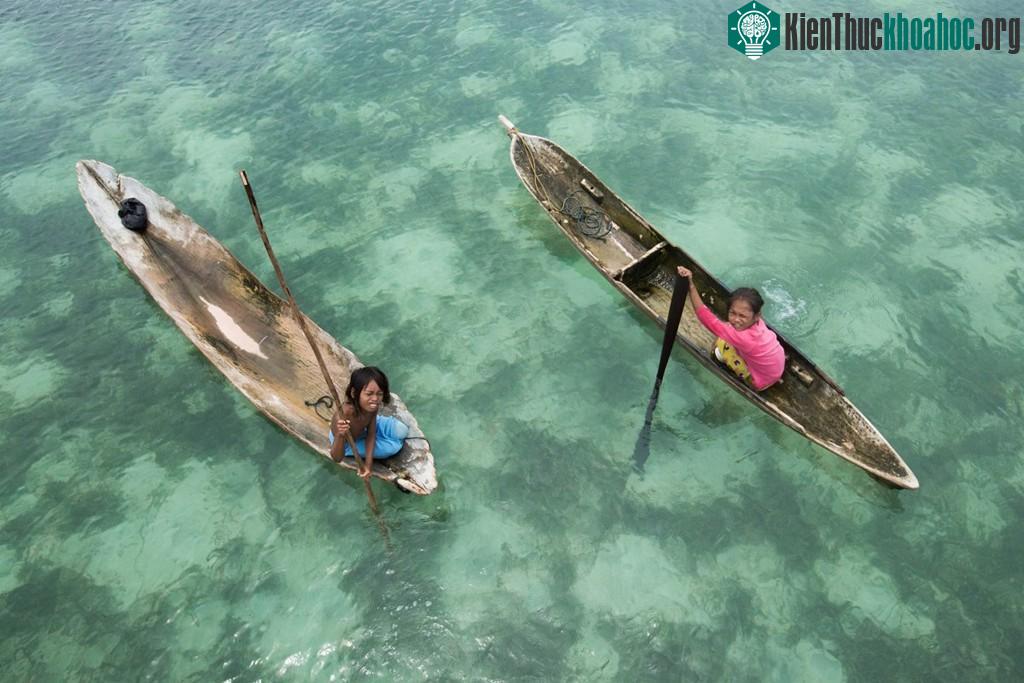 Chúng chèo thuyền thuần thục khi còn rất nhỏ.