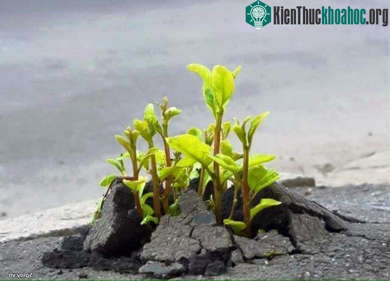 Bạn sẽ không còn tuyệt vọng khi xem những bức ảnh này ảnh 3