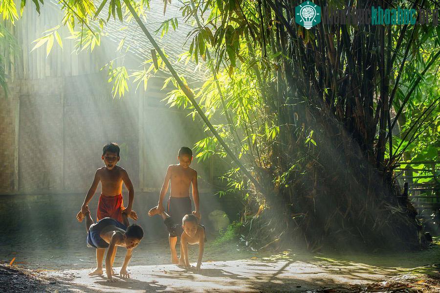 Cuộc sống yên bình nơi làng quê Việt ảnh 3