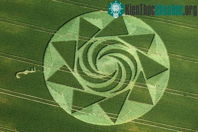 Những vòng tròn bí ẩn trên cánh đồng- ảnh 4
