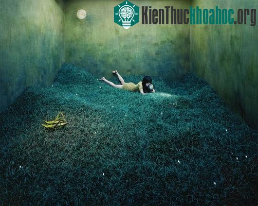 Thế giới thần tiên và những câu chuyện trong ảnh đẹp ngỡ ngàng