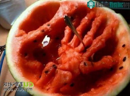Tạo hình thú vị trên dưa hấu bằng thìa ảnh 3