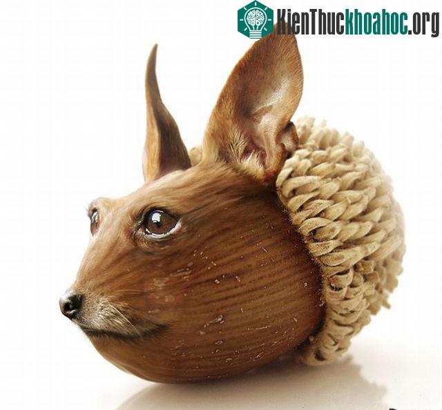 Những hình ảnh ngộ nghĩnh từ động vật và thực vật- ảnh 33