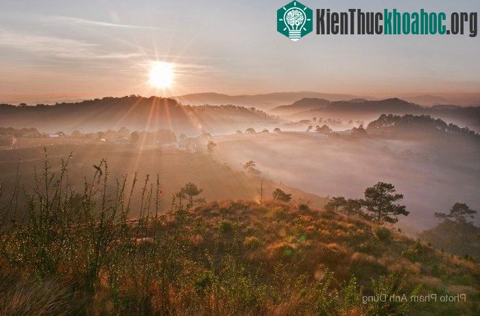 Bình minh Đà Lạt dịu nhẹ giữa màn sương sớm- (Ảnh: Pham Anh Dung)