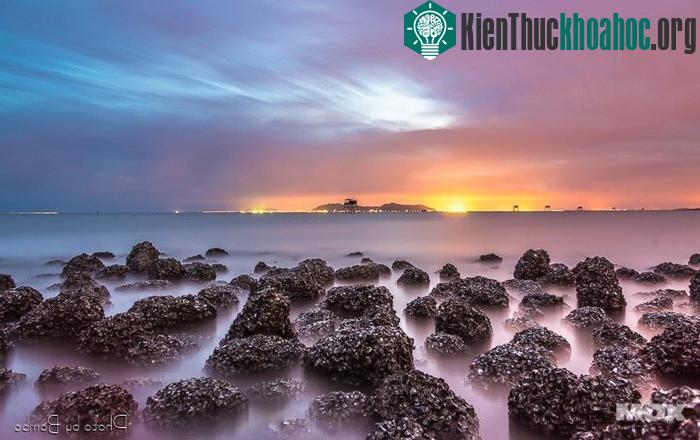 Bình minh Vũng Tàu qua ống kính người du khách- (Ảnh: bombo)
