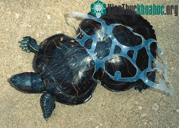 20 bức ảnh gây shock về sự tàn phá của con người tới trái đất- ảnh 5