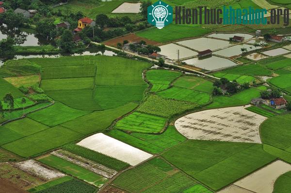 Chiêm ngưỡng vẻ đẹp Bắc Sơn thời điểm sắp vào vụ mùa