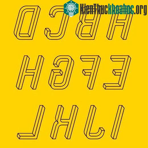 Chùm ảnh đánh lừa thị giác bảo đảm sẽ khiến bạn phải kinh ngạc- ảnh 5