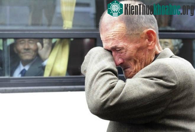 10 khoảnh khắc cảm xúc lay động trái tim