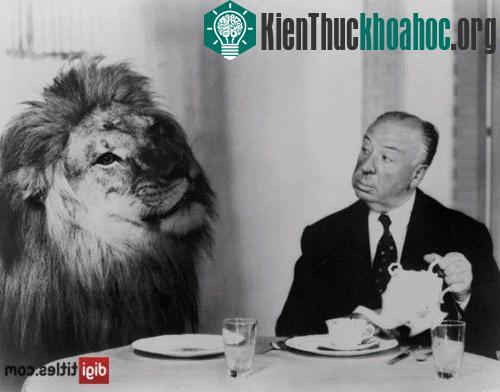 Những bức ảnh hiếm của lịch sử thế giới