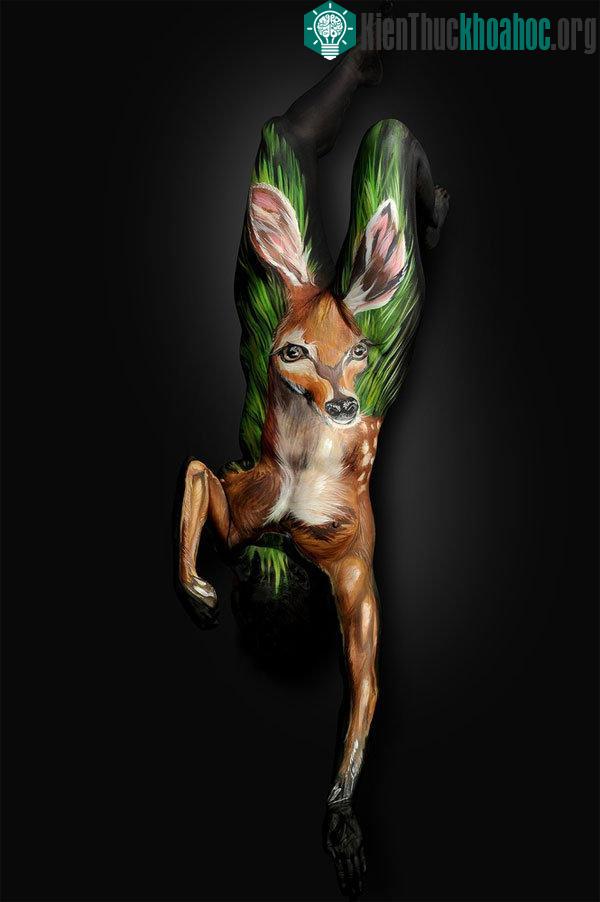 Hươu