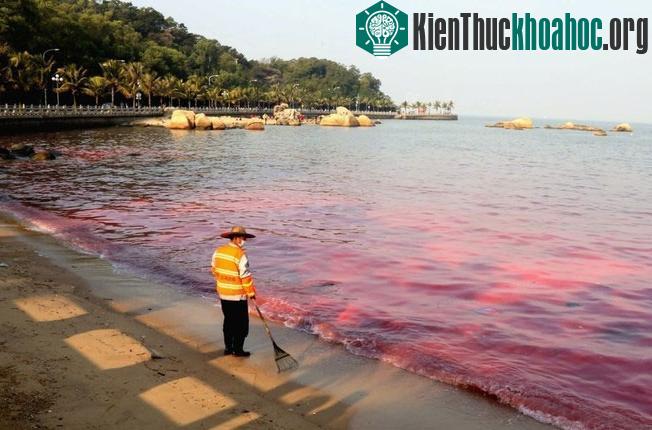 Toàn tỉnh có 28 cửa sông đổ ra biển, nhiều nhà máy, khu công nghiệp, nước thải nông nghiệp chưa qua xử lý bị đổ thẳng ra biển gây ô nhiễm.