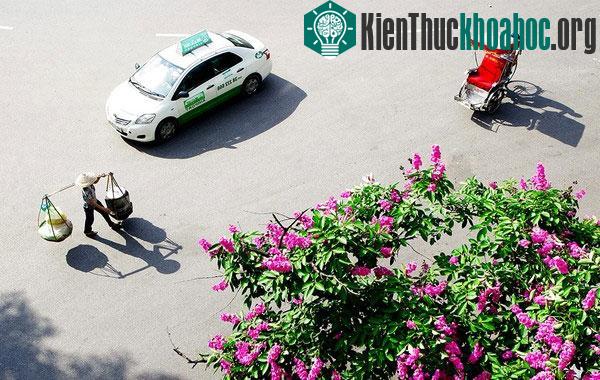 Giữa dòng xe tấp nập, hối hả ta vẫn thấy các mẹ các chị đôi gánh trên vai cần mẫn