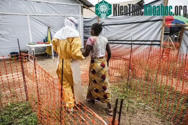 Hành trình virus Ebola phá hoại cơ thể người trong bộ hình ám ảnh- ảnh 5