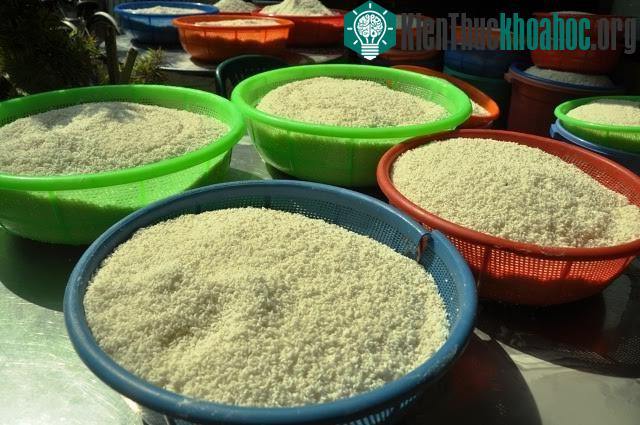 Hạt gạo nếp bóng mẩy, đều nhau và phải được vo thật sạch.