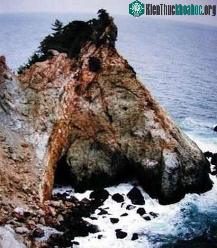 Trông như một chú ngựa đang nằm ngủ ngon lành