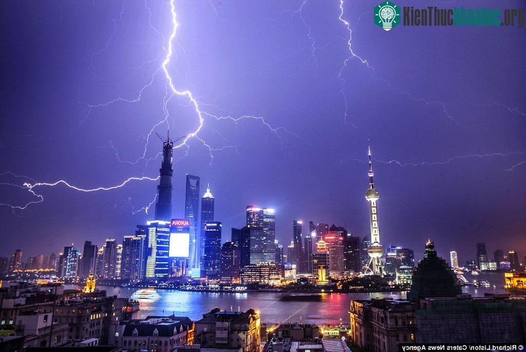 Những tia sét như rễ cây chạy khắp bầu trời đêm ở thành phố Thượng Hải, Trung Quốc.