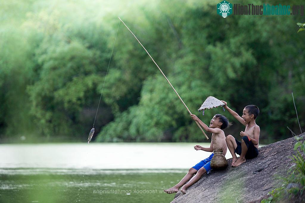 Câu cá thì vẫn luôn tạo nên cảm giác thật hồi hộp, vui sướng