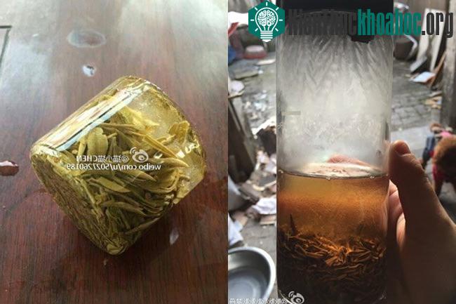 Những cốc trà bị đóng đá trông như một tác phẩm nghệ thuật.