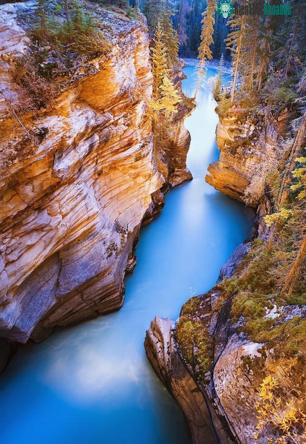 Thác nước thuộc Vườn Quốc gia Jasper ở tỉnh Alberta, là điểm thu hút khách hàng đầu