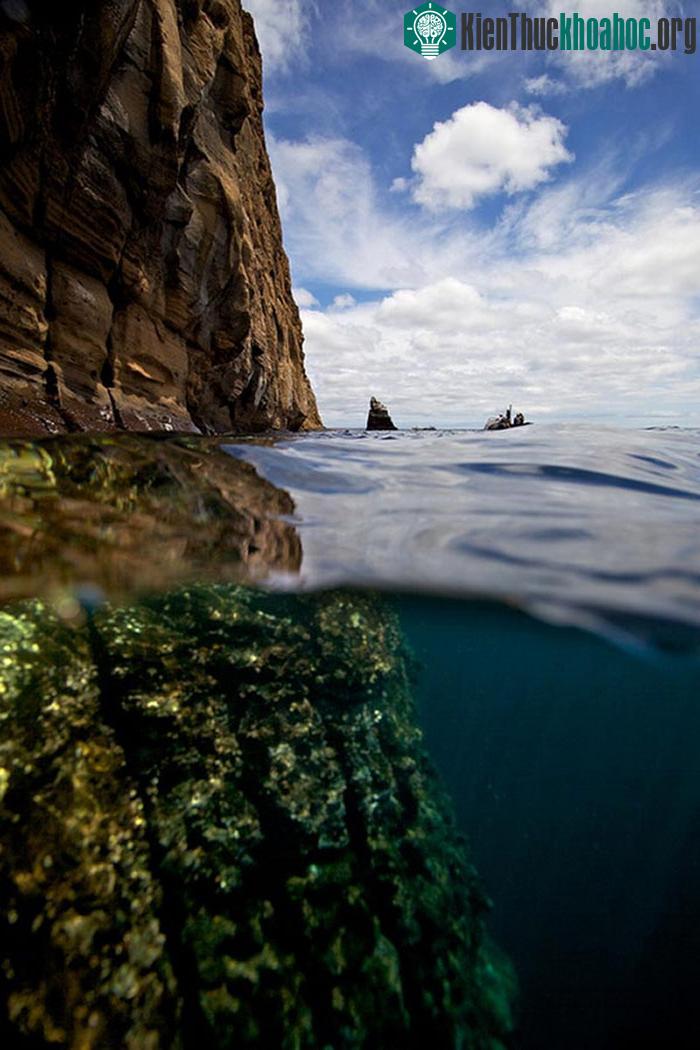 Split View, chia đôi màn hình, quần đảo Galapagos