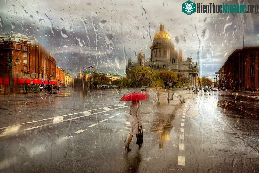 Bộ ảnh đẹp như tranh giúp “thắp sáng ngày mưa” ảnh 4